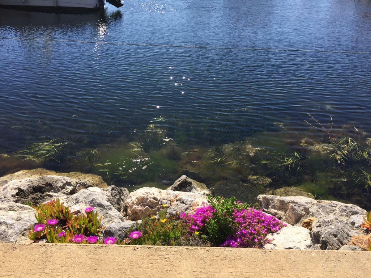 Maisonnette Vue Mer Pieds Dans L'Eau Wifi Leucate Exterior foto